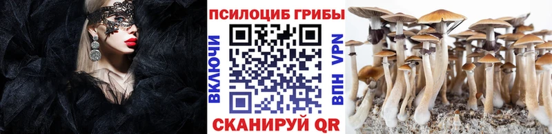 Галлюциногенные грибы Psilocybine cubensis  Верхотурье 